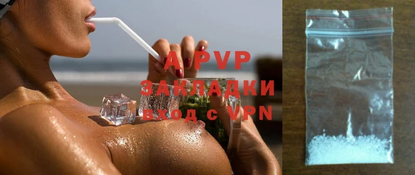 шишки Рославль