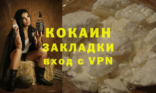 шишки Рославль