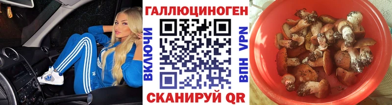 Псилоцибиновые грибы мухоморы  Купить закладки  Чернушка 