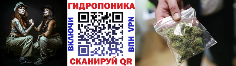 Бошки марихуана Bruce Banner  Купить  Чернушка 